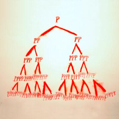 115R_CD_BukeAndGase_Function Falls