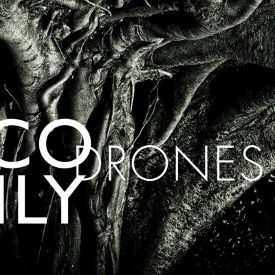 Bedroom Community - Muhly_CoilyDrones