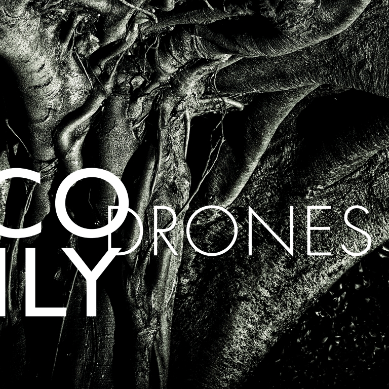 Bedroom Community - Muhly_CoilyDrones