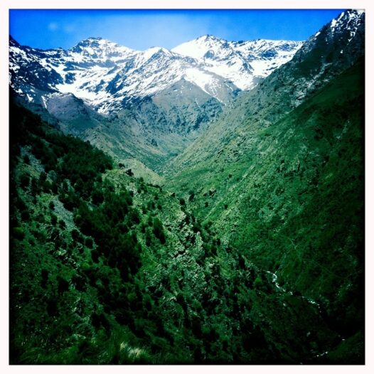 Sonic Geography-Mountains (800x800)