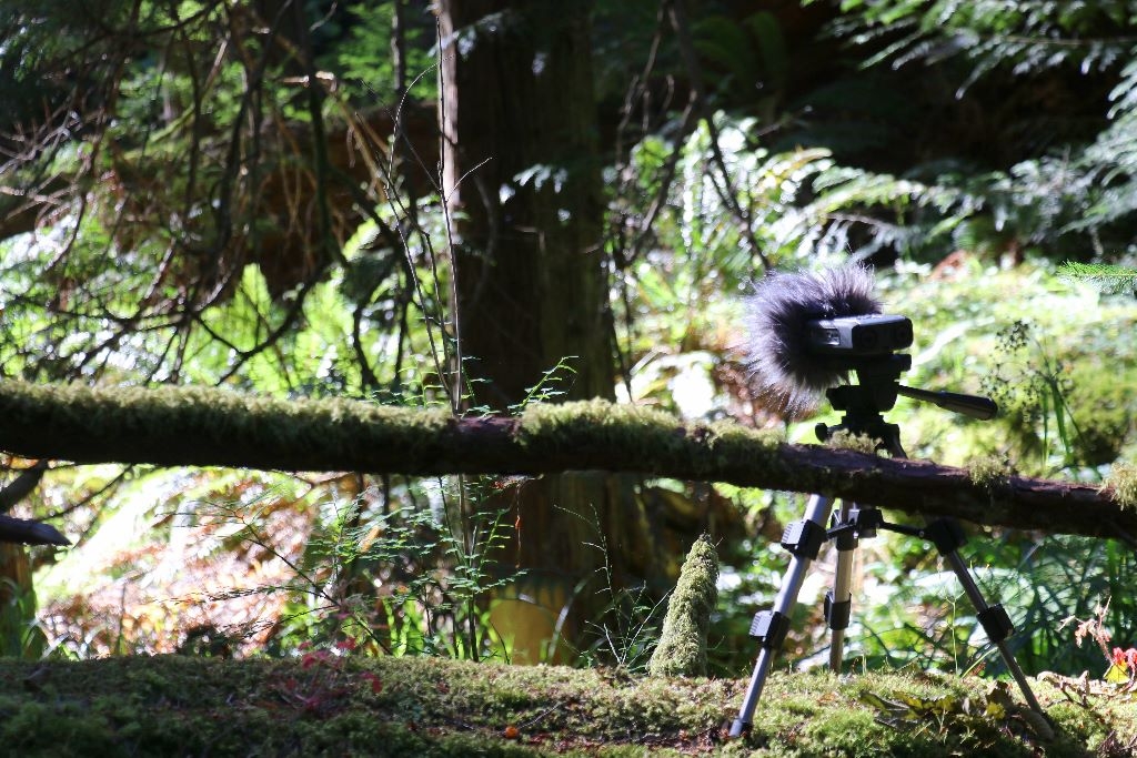 field-recorder (1024x683)