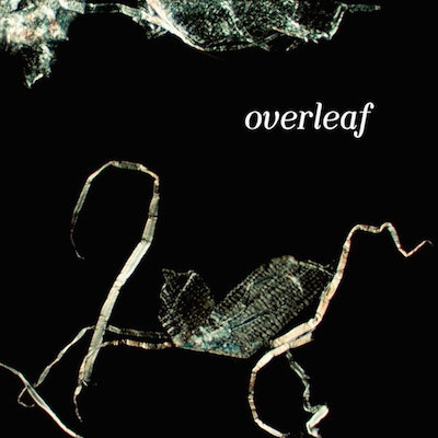 Overleaf