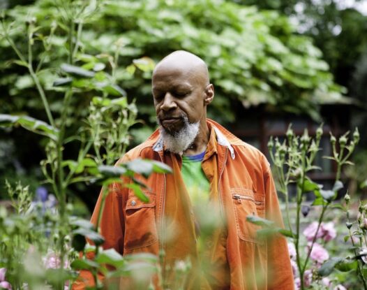 Laraaji Bandcamp copy