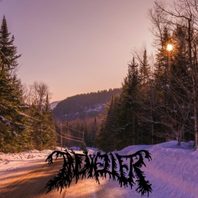 Indweller - living gem (600x600)