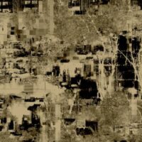 Endlings - Human Form