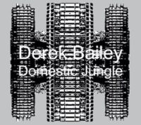 02 Bailey Domestic Jungle 400x400